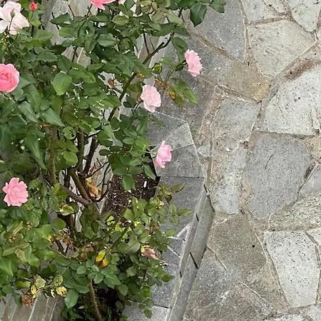 Of Olympos 公寓 里托楚伦